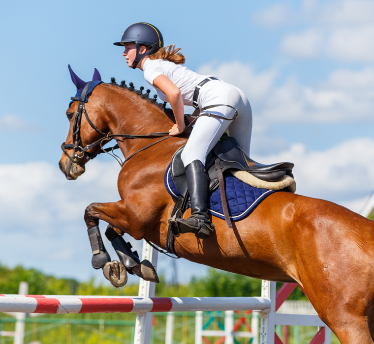 Best horse racing sign up bonus free