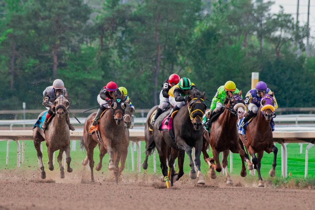 Best horse racing sign up bonus free