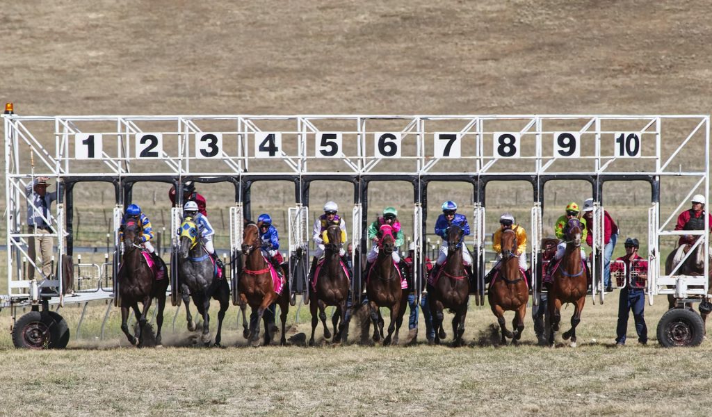Best horse racing sign up bonus app